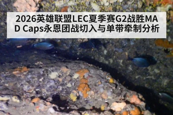 2026英雄联盟LEC夏季赛G2战胜MAD Caps永恩团战切入与单带牵制分析