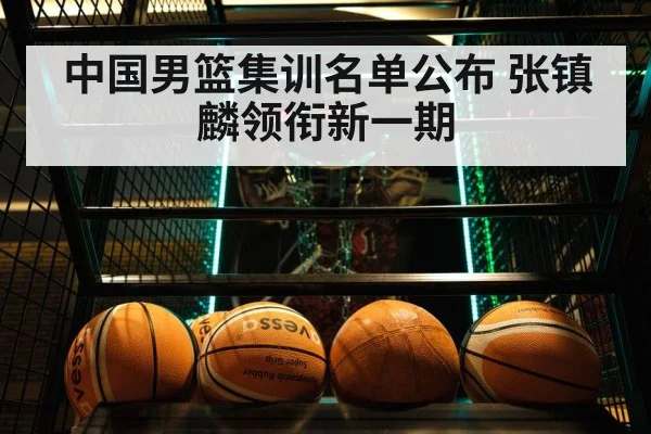 中国男篮集训名单公布 张镇麟领衔新一期